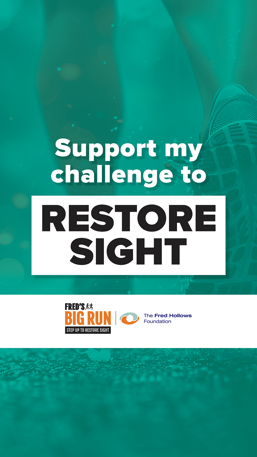 FBR26 Story Restore Sight